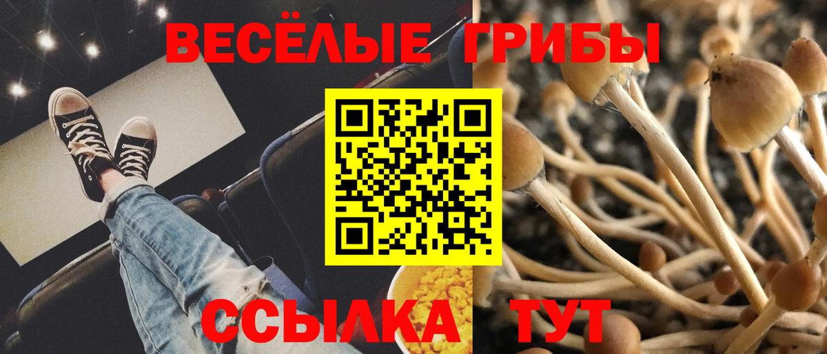 Псилоцибиновые грибы ЛСД Краснокаменск